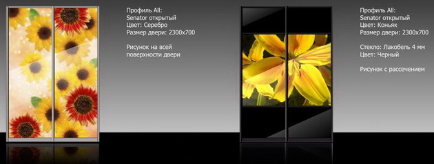 Двери для шкафов-купэ с изображением