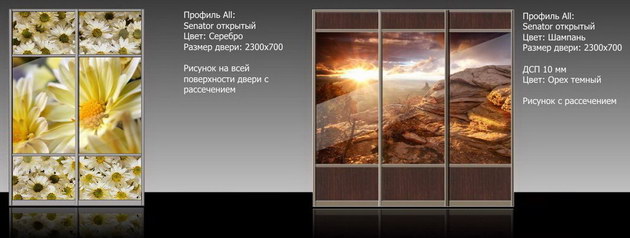 Двери для шкафов-купэ с изображением