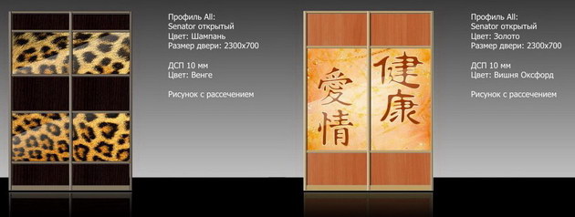 Двери для шкафов-купэ с изображением