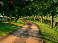 Изображение для печати на дверях-купе