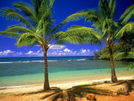 Изображение для печати на дверях-купе