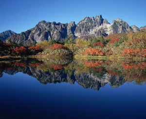 Изображение для печати на дверях-купе