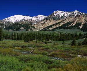 Изображение для печати на дверях-купе