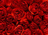 Изображение для печати на дверях-купе