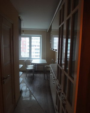 Параллельная планировка кухни. Вид 1