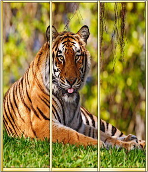 Комбинация материалов двери - Р/Р/Р