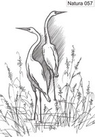 Изображение для пескоструйной обработки