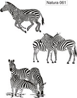 Изображение для пескоструйной обработки