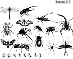Изображение для пескоструйной обработки