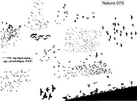 Изображение для пескоструйной обработки