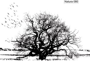 Изображение для пескоструйной обработки