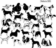 Изображение для пескоструйной обработки